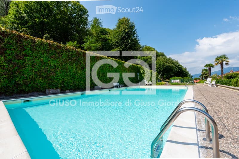 A swimming pool surrounded by greenery, with lounge chairs and a paved area nearby.