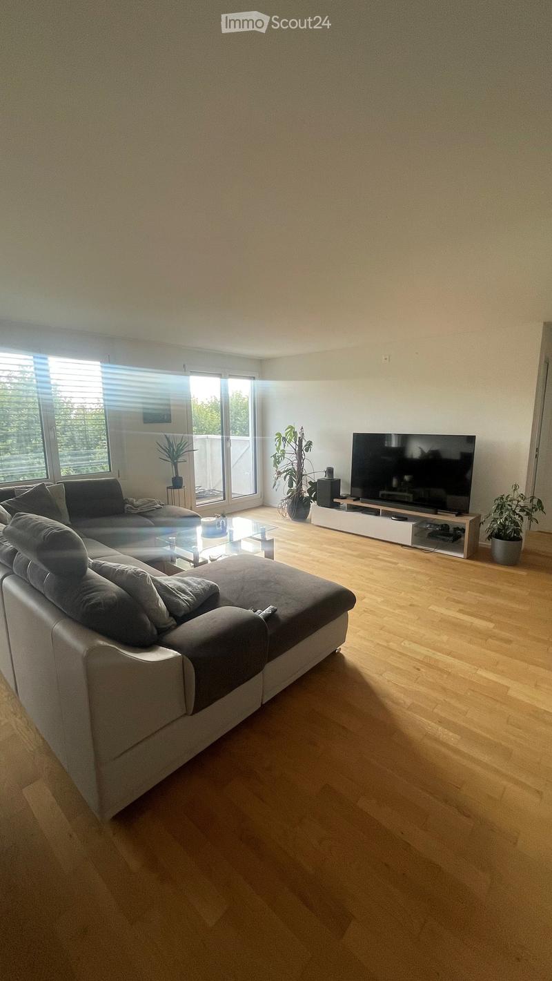 Modern living room with a large sectional sofa, glass coffee table, flat-screen TV on a white stand, and several potted plants. Large windows with blinds allow natural light to fill the space.