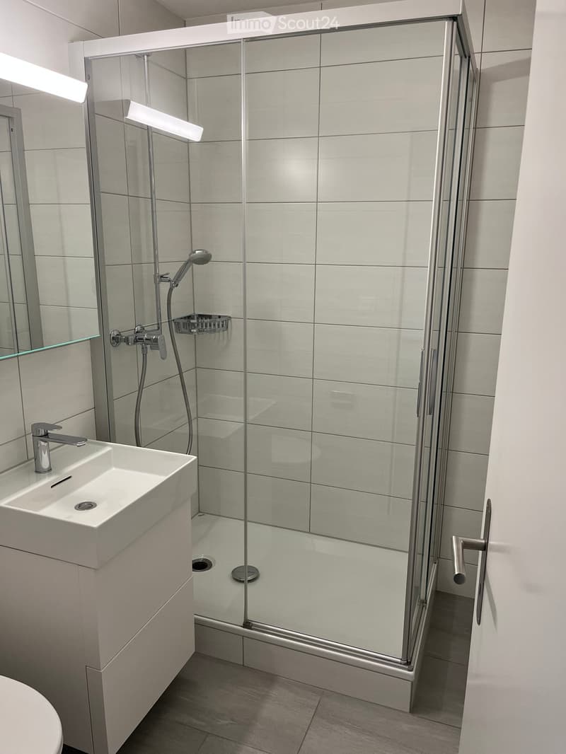 Modern bathroom with a white sink, chrome faucet, glass-enclosed shower with a handheld showerhead, and a built-in shelf inside the shower.