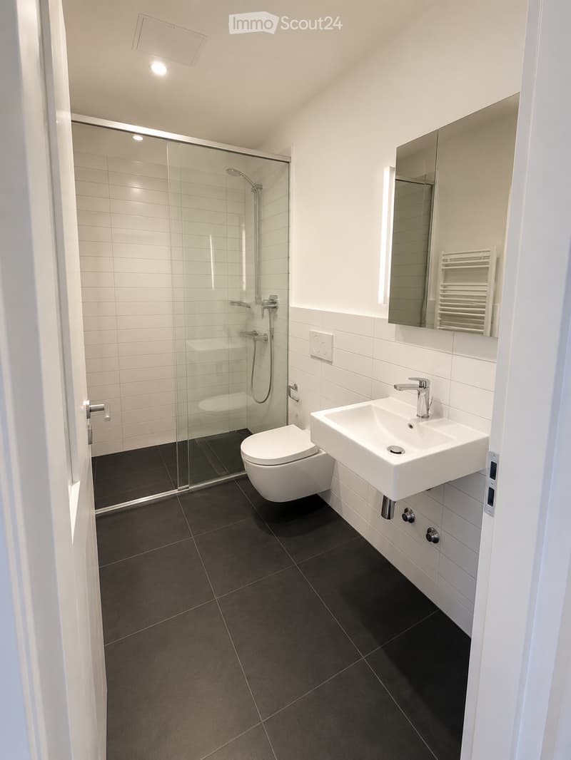 Modern bathroom with white tiles, dark floor, glass-enclosed shower, toilet, sink, and mirror.