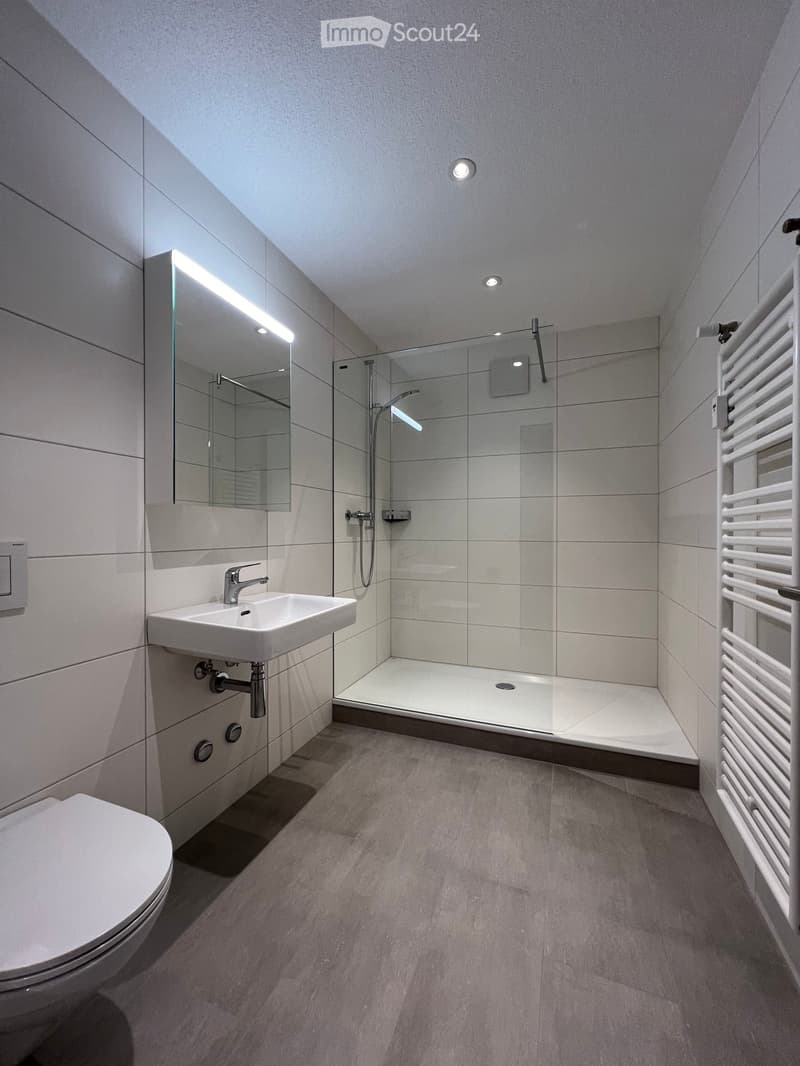 Modern bathroom with a toilet, sink, mirror, glass-enclosed shower, and a white radiator. The walls are tiled in light grey, and the floor is covered with grey tiles.