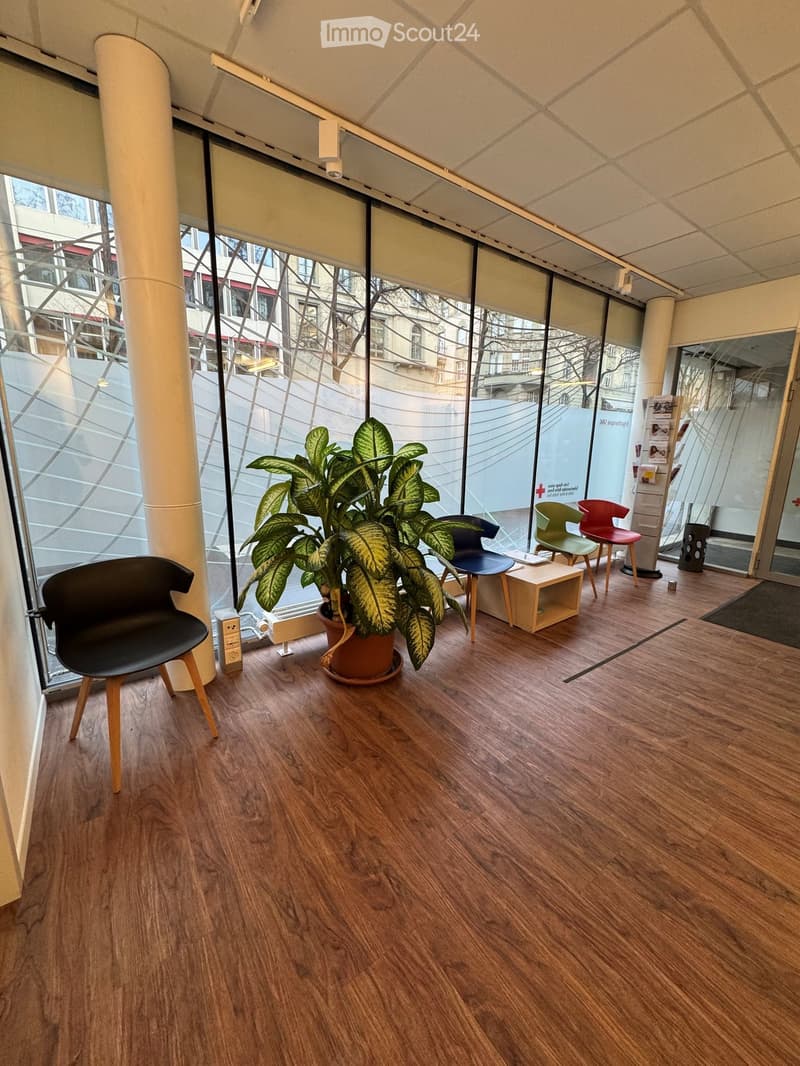 A room with large windows, wooden floor, a potted plant, and several chairs.