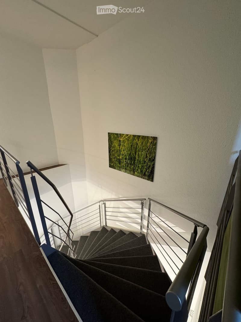 modern staircase with metal handrails and carpeted steps