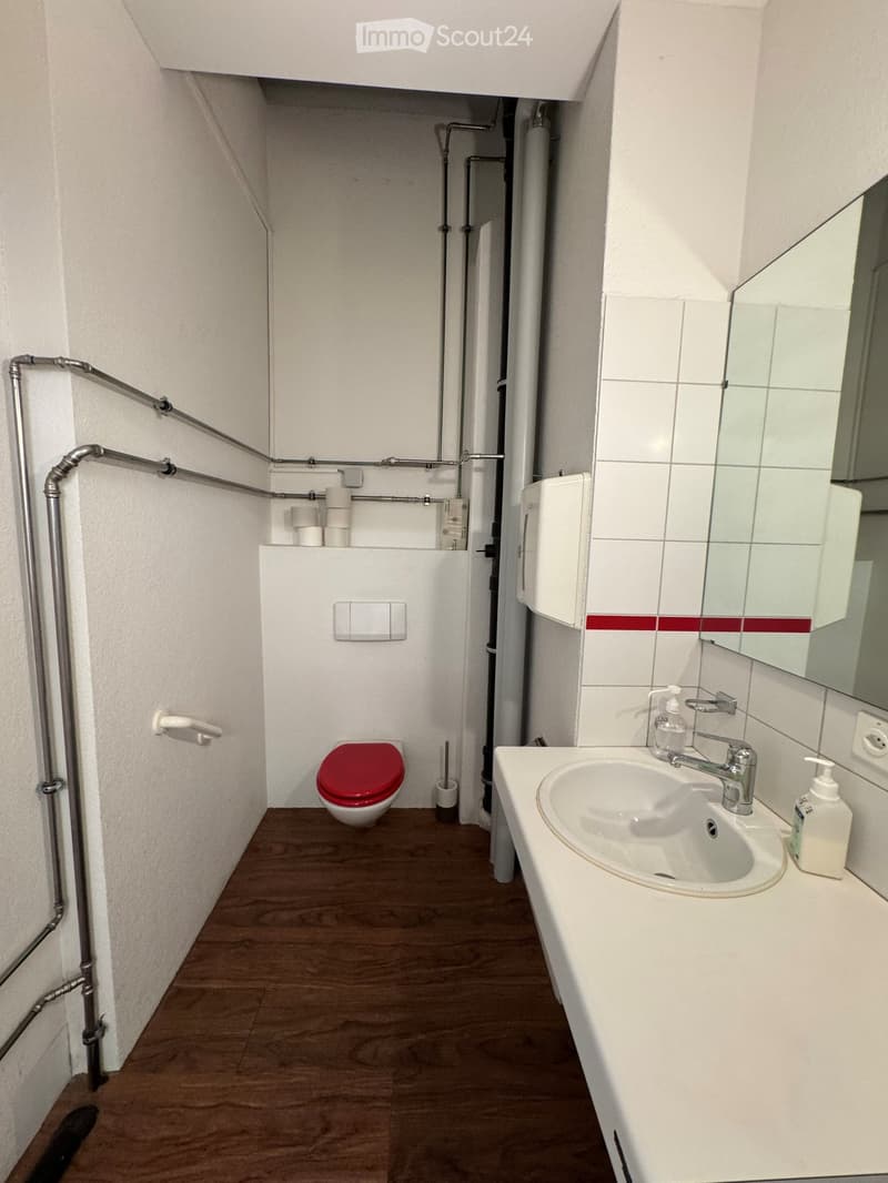 small bathroom with toilet, sink, mirror, and handrail
