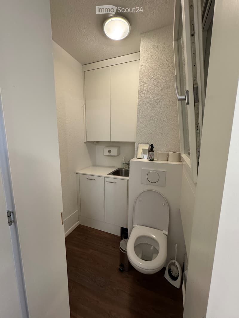 small bathroom with toilet, sink, and cabinets