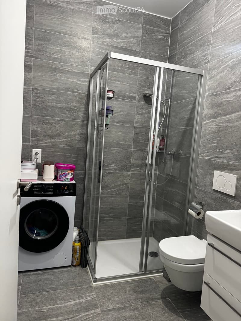 Modern bathroom with grey tiled walls and floor, featuring a glass-enclosed shower, toilet, sink, and a private washing machine.