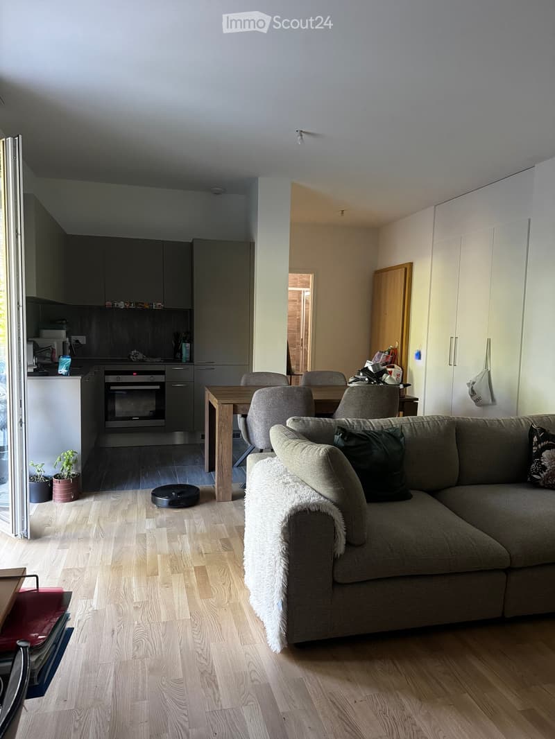 Modern living room with a grey sectional sofa, wooden dining table, grey chairs, integrated kitchen with dark cabinets and stainless steel appliances, and a small potted plant on the floor.