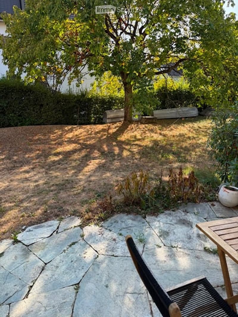 Garden with a large tree, stone patio, wooden table, and black chair. The area is surrounded by greenery and a hedge.