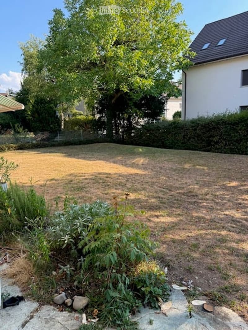 Garden area with sparse grass, small plants, and a large tree providing shade. A white house is visible in the background.