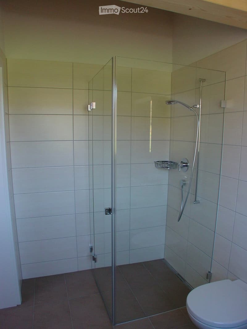 Modern bathroom with a glass-enclosed shower, a toilet, and tiled walls and floor.