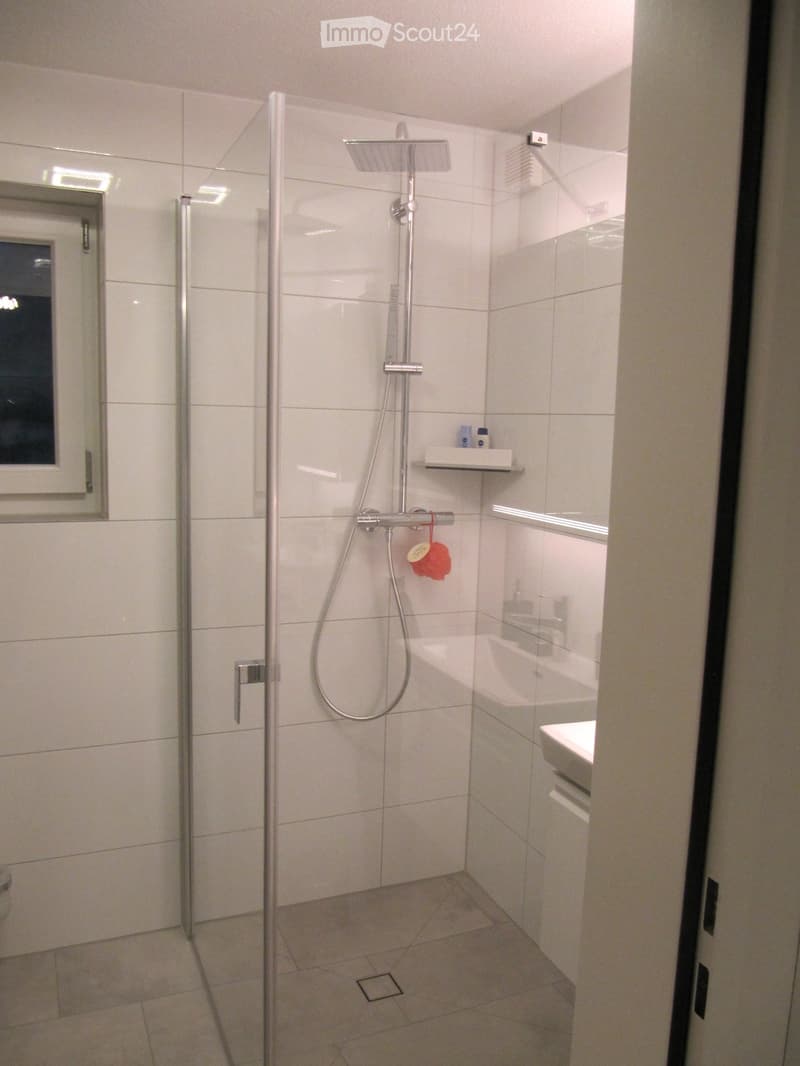 Modern bathroom with white tiled walls, glass shower enclosure, handheld showerhead, built-in shelf, and a small sink.