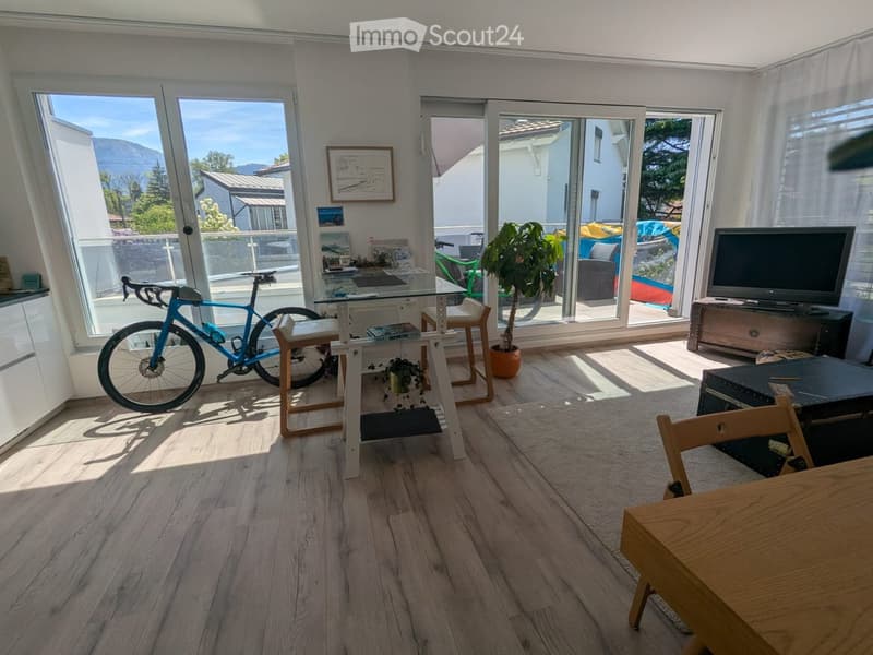 Open living room with wooden floor, large windows, bicycle, table, plant, TV, and chair.