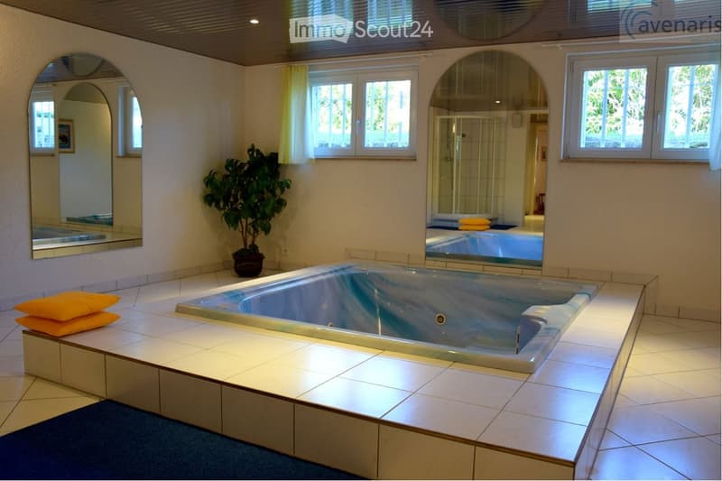 Bathroom with a large bathtub, mirrored walls, potted plant, and decorative pillows.