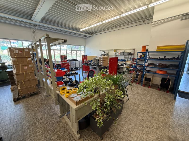 Workshop or storage area with a table, potted plants, shelves, and various tools and equipment.