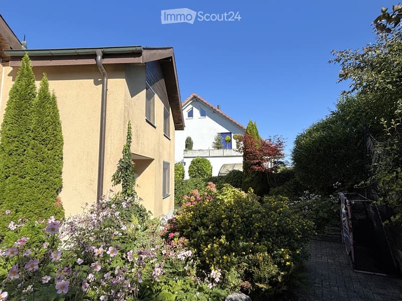 Pathway leading to two houses, shrubs, bushes, flowers, blue sky