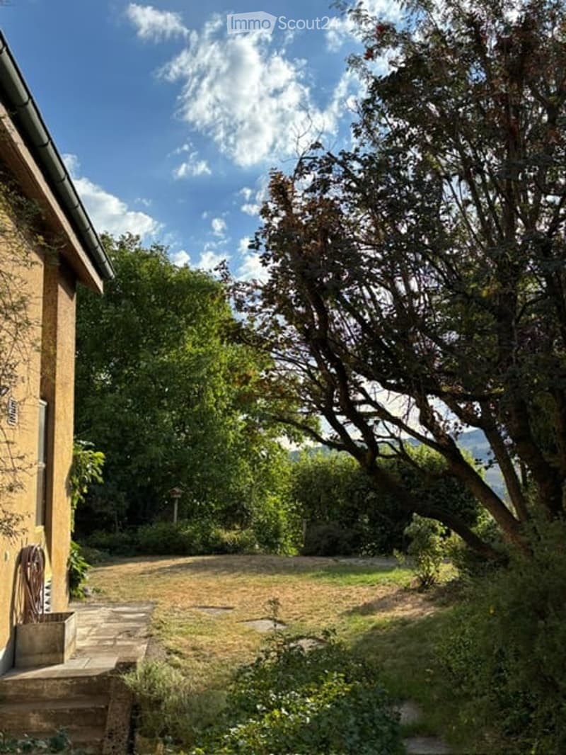 A serene garden area with a large tree, a stone pathway, and a small lawn, surrounded by greenery and a house on the left.