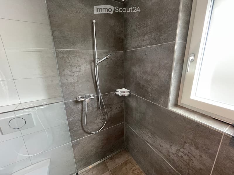 Modern bathroom with grey tiled walls, glass shower enclosure, and a showerhead with handheld sprayer.