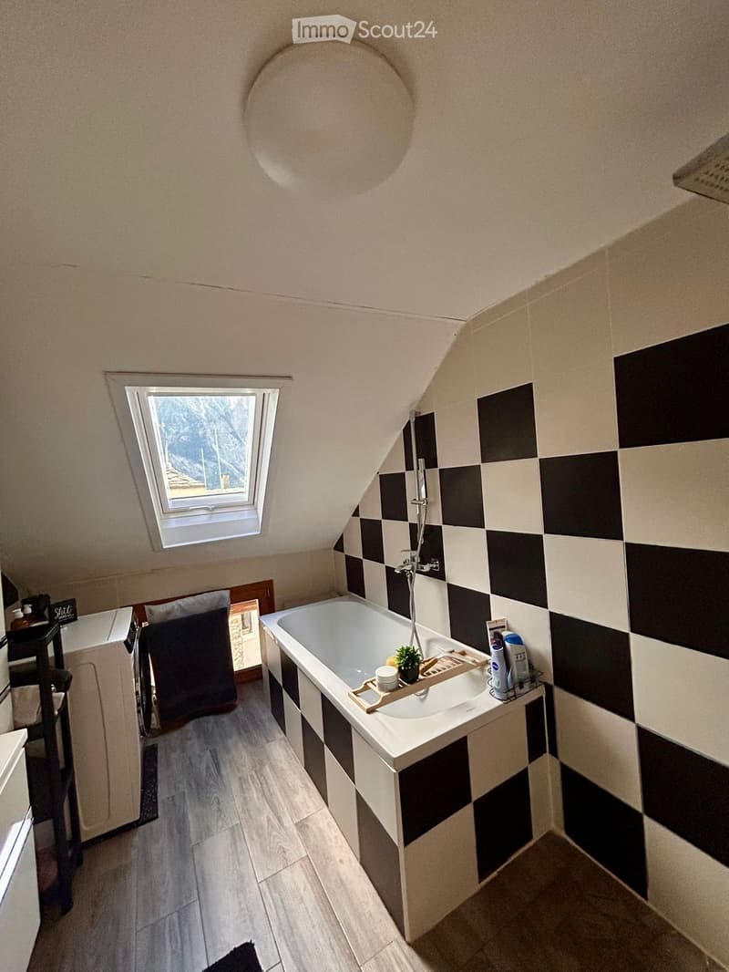 Bathroom with a bathtub, sink, and washing machine. Features a skylight window, checkered black and white tiles, and a small plant on the sink.