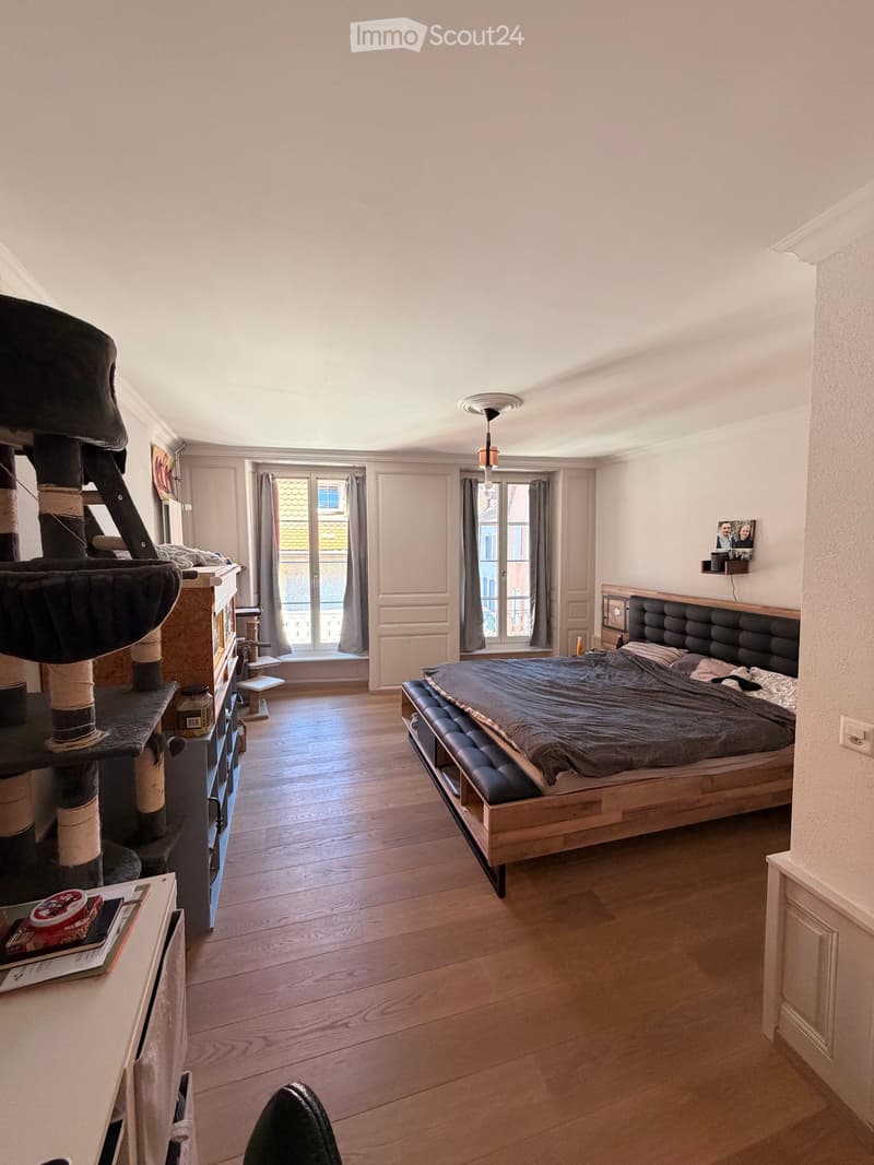 Bright bedroom with wooden flooring, large windows, a modern bed with dark bedding, a cat tree, and a nightstand with a lamp.
