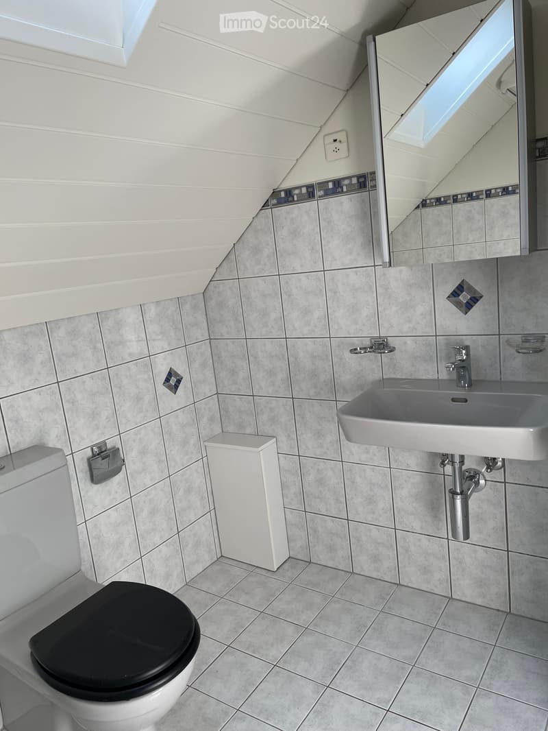 Modern bathroom with grey tiles, white sink, toilet with black seat, and a large mirror above the sink.