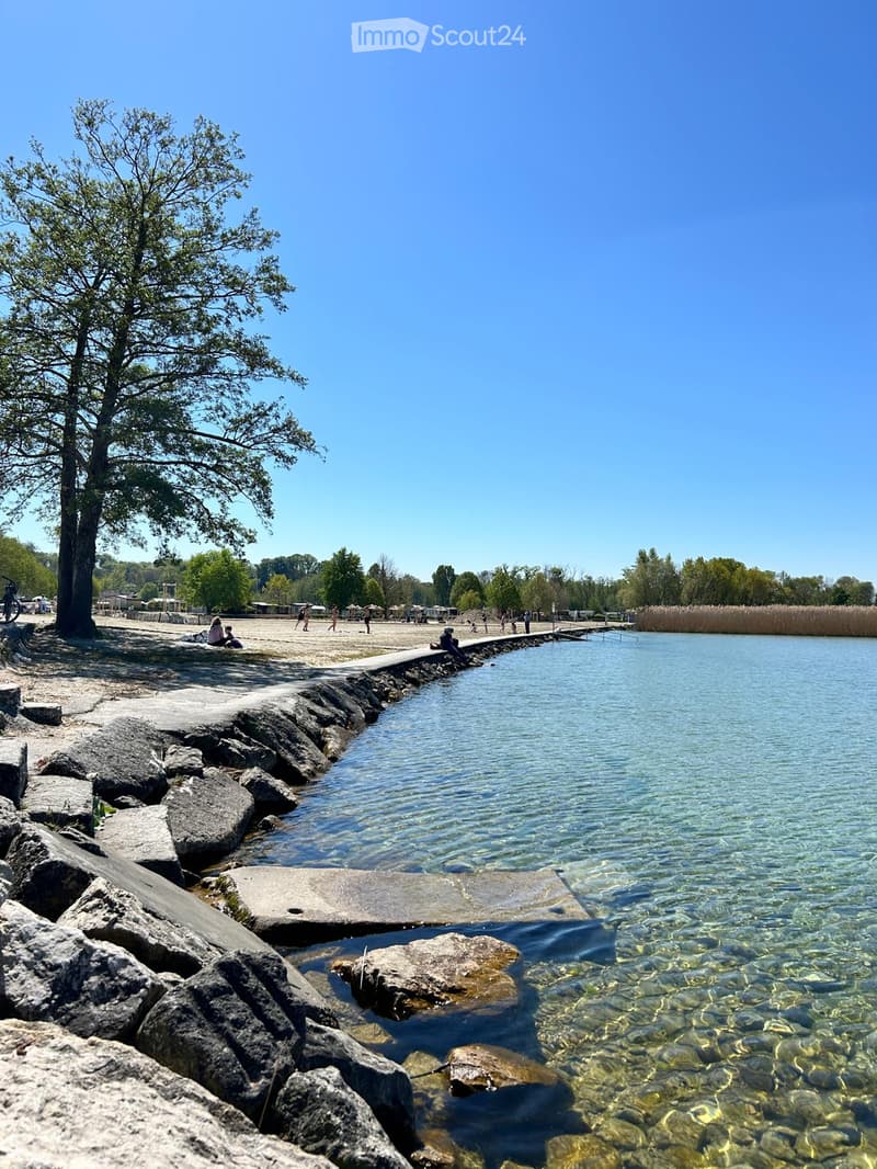 A serene lakeside scene with a sandy beach, rocky shoreline, and a clear blue lake. People are enjoying the area under a large tree, with a pathway leading to the water.