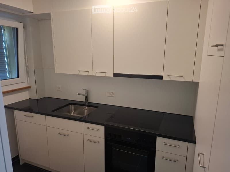 Modern kitchen with white cabinets, black countertops, stainless steel sink, and built-in oven.
