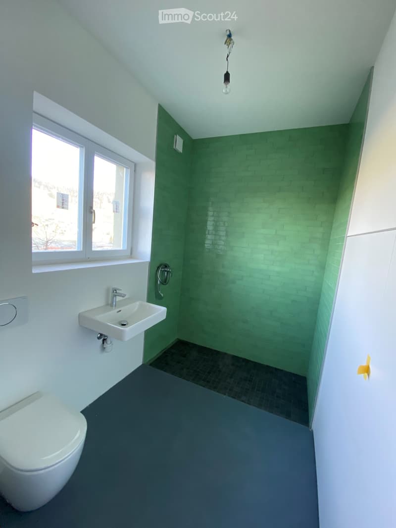 Modern bathroom with white walls, grey floor, green tiled shower area, white toilet, and sink with chrome faucet.