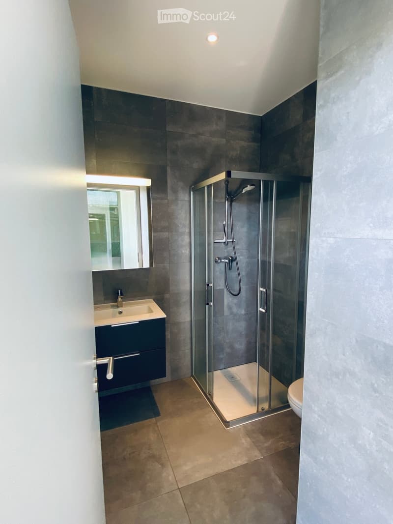 Modern bathroom with dark grey tiles, a glass-enclosed shower, a sink with a mirror, and a toilet. The space features a sleek design with a dark vanity cabinet and warm lighting.