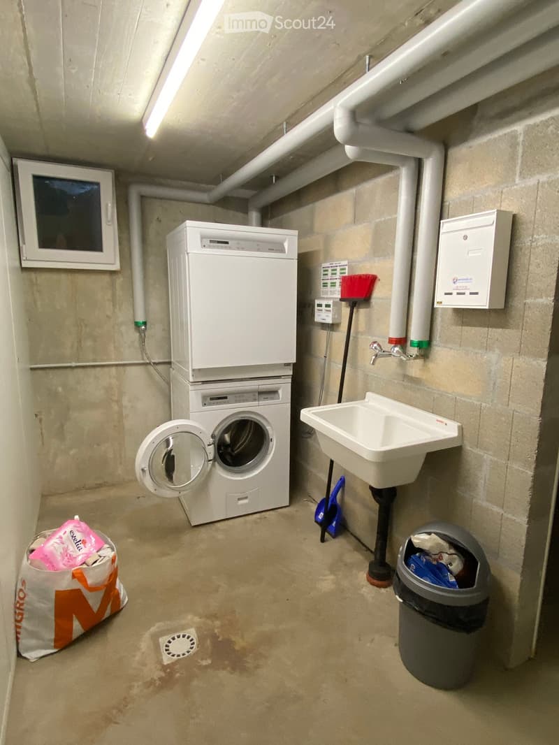 Utility room with a washing machine, sink, and cleaning supplies. The floor shows some water stains.