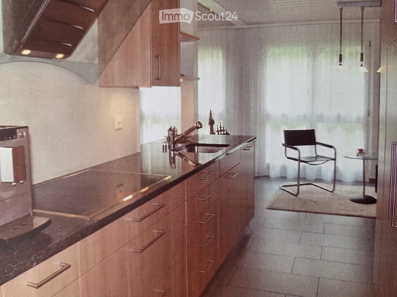 Modern kitchen with wooden cabinets, stainless steel sink, and a sleek countertop. Features a hanging chair and a small glass table near the window.