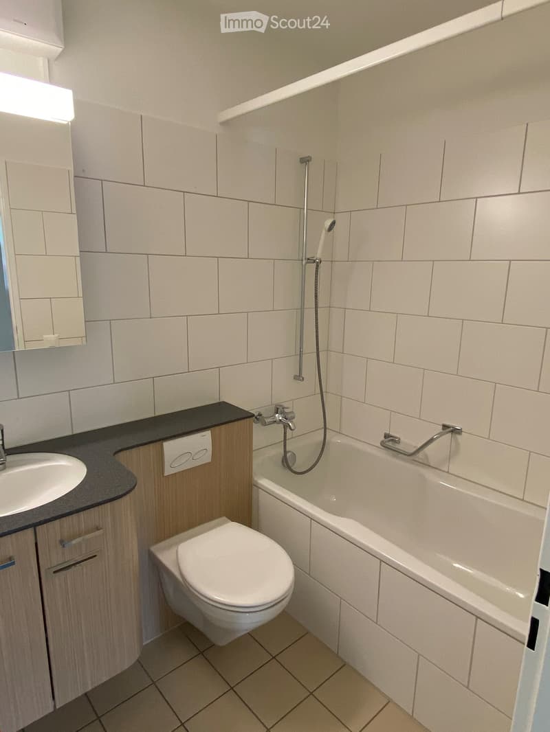 Modern bathroom with white tiled walls, a bathtub with a handheld shower, a toilet, a sink with a wooden cabinet, and a mirror above the sink.