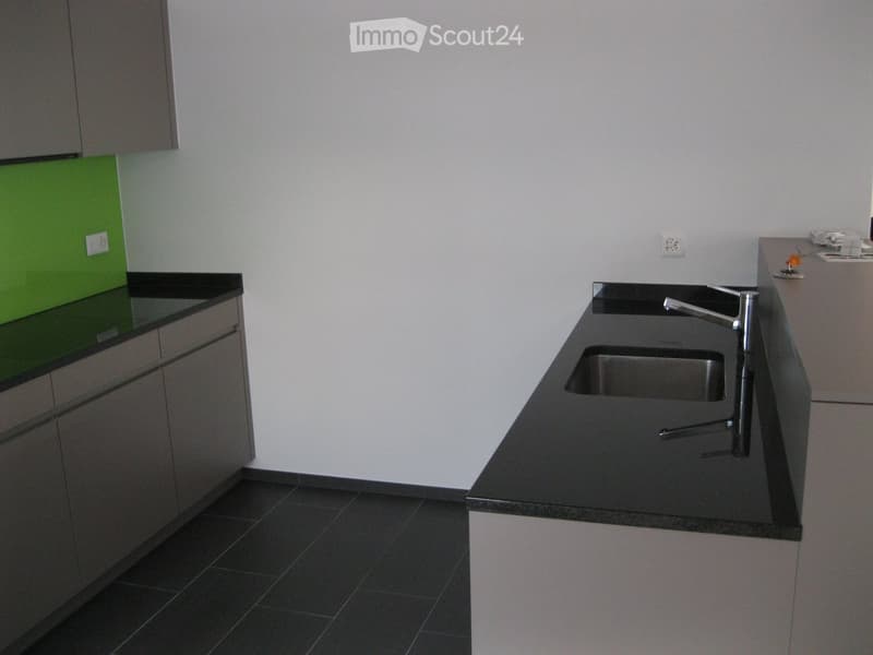 Neuere Dachwohnung mit grosser Terrasse (4)