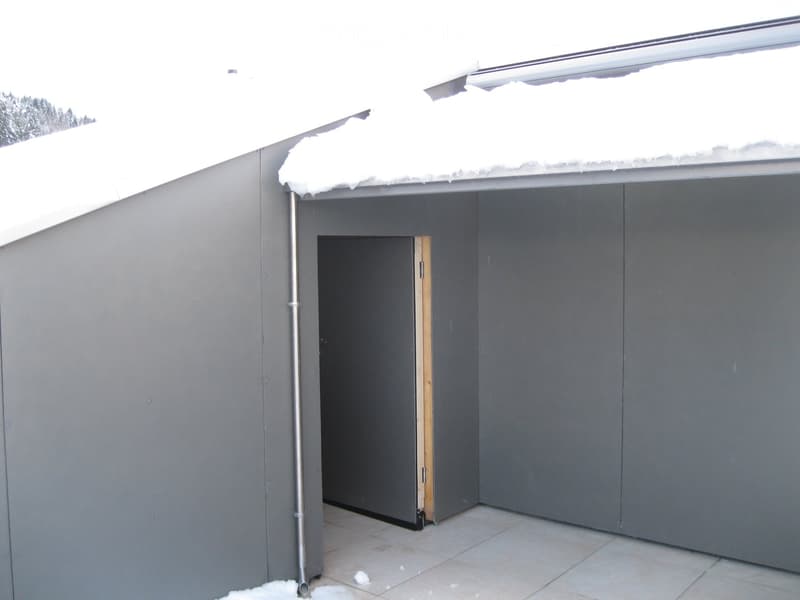 Neuere Dachwohnung mit grosser Terrasse (10)