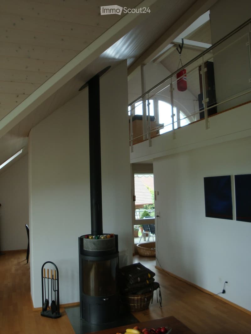 Bright, open hallway with wooden flooring, white walls, and a modern wood-burning stove. Features include a staircase with a glass railing, a hanging punching bag, and a view to an outdoor patio area with furniture.
