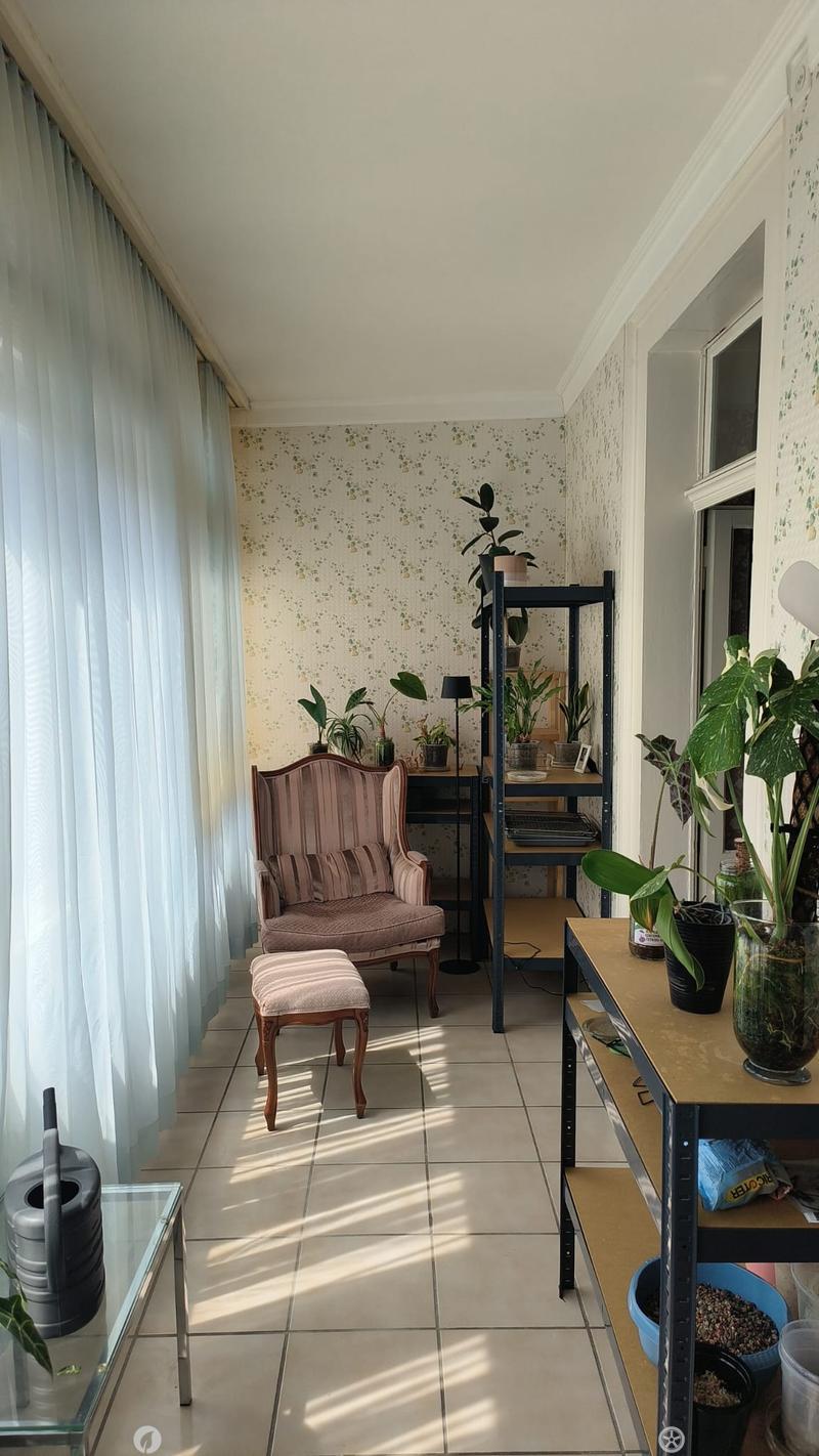 A cozy, well-lit room with a pink sofa, matching stool, glass table, shelf with plants, and a small table with a lamp.