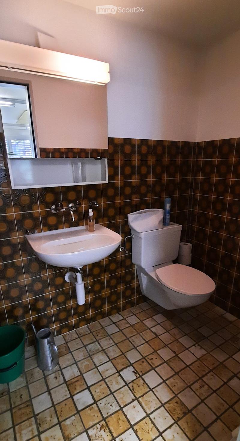 small bathroom with sink, toilet, mirror, shelves, toilet paper holder, and a green bucket