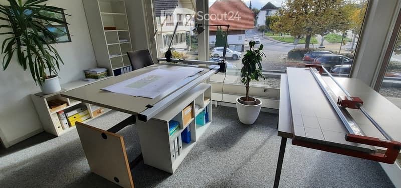 Large desk, cabinet, shelf, chair, potted plants, large window