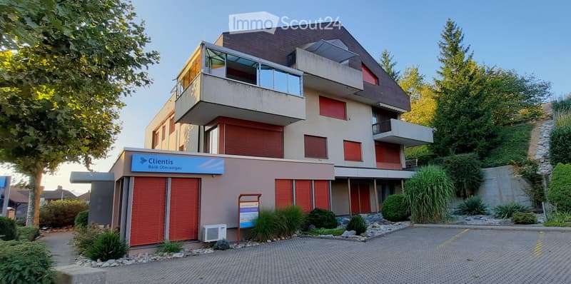 three story building, brick wall, red shutters, red garage doors, driveway, shrubbery, tree