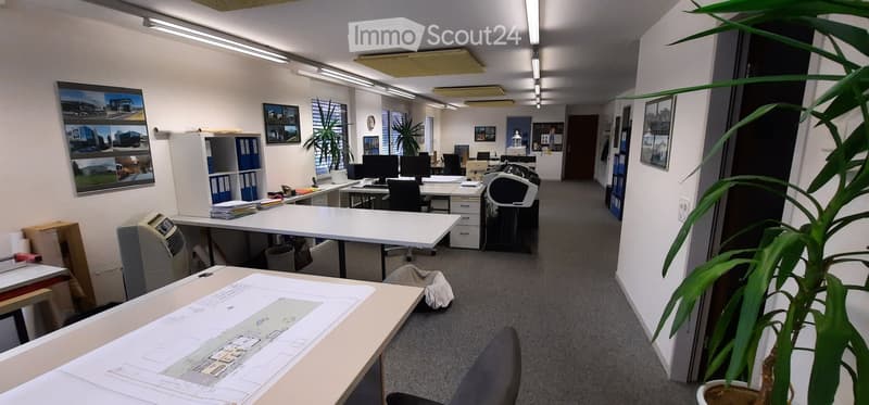 Office space with desks, computers, bookshelves, large windows, plants, ceiling lights