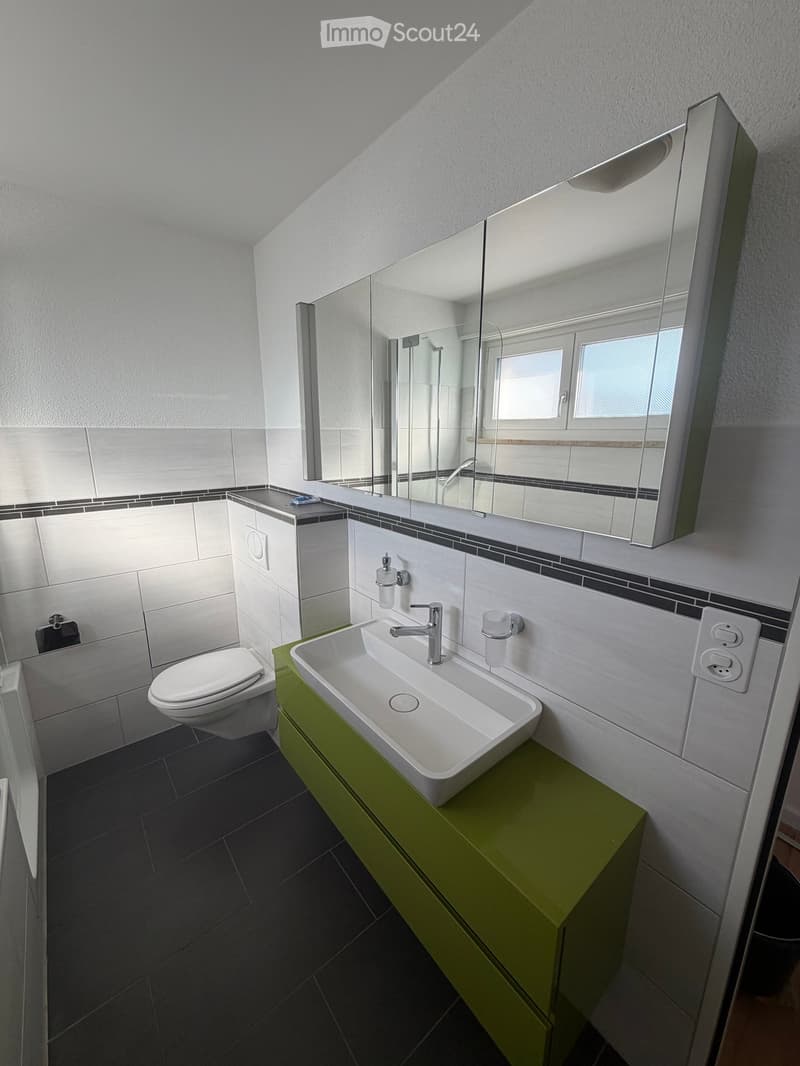 Modern bathroom with a white sink, chrome faucet, large mirror, toilet, and green cabinet.