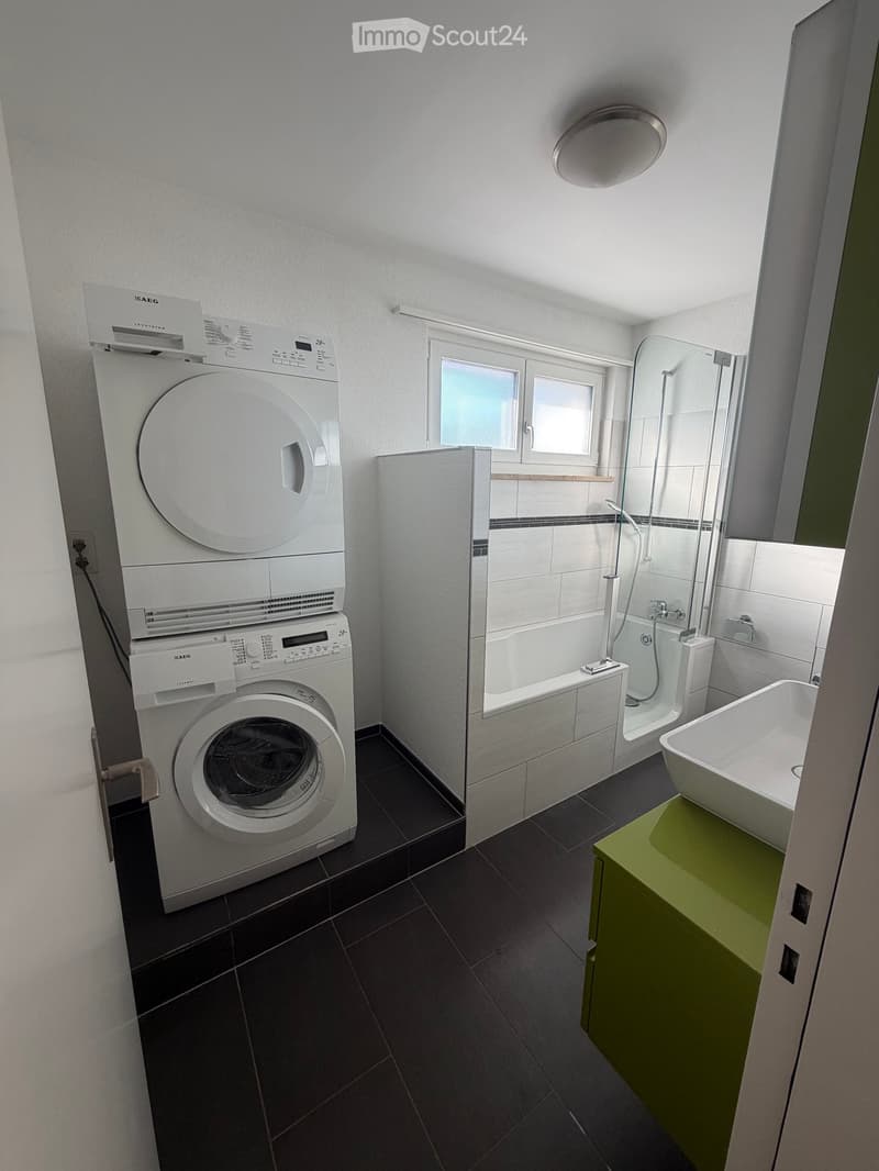Modern bathroom with dark tiled floor, white washing machine and dishwasher, bathtub, shower, and sink.