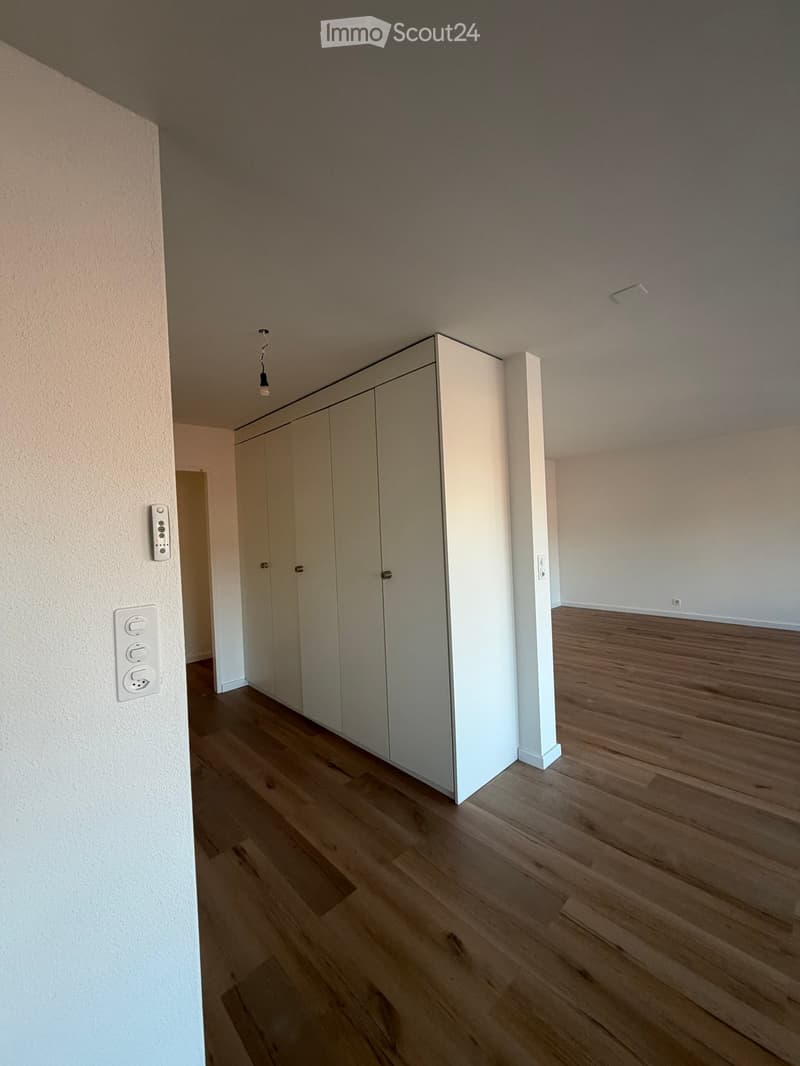 Empty room with light wooden flooring, white walls, and a built-in white closet unit. No furniture or personal items are present.