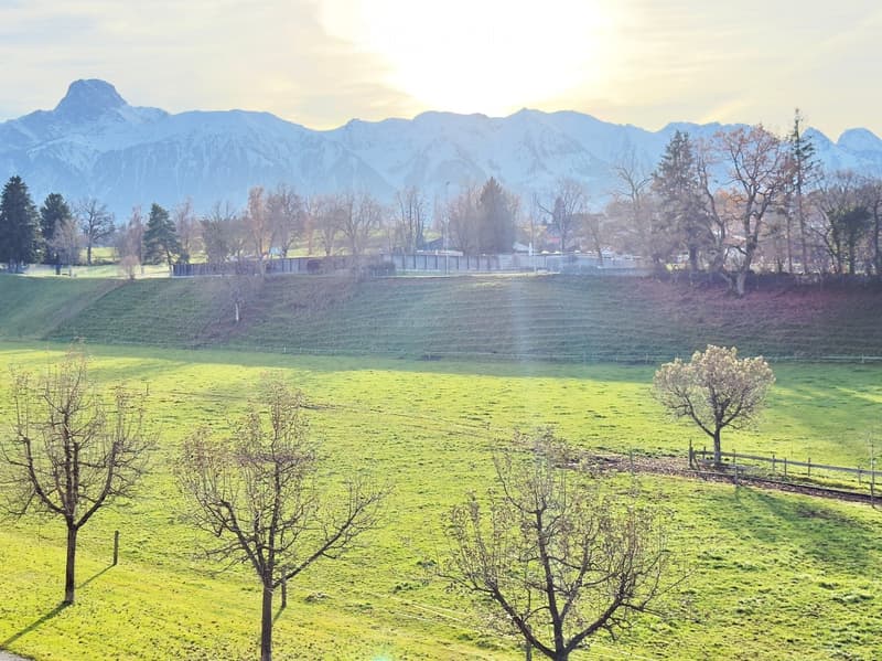 A wide, green field with scattered trees and a distant mountain range under a clear sky.