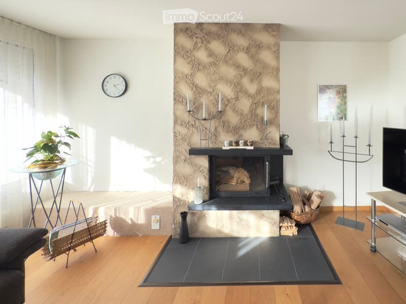 Modern living room with a stone fireplace, wooden flooring, a sofa, a glass table with a plant, and a television stand.