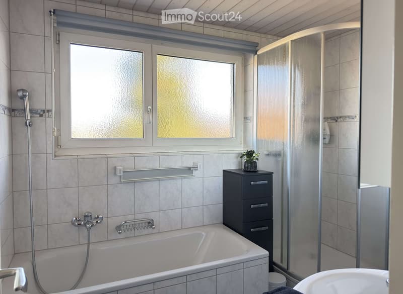 Modern bathroom with a bathtub, shower, and a small cabinet. Features a frosted window, tiled walls, and a flower pot on the cabinet.