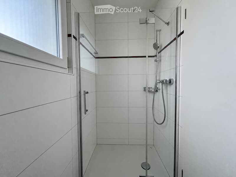 Modern shower area with white tiles, glass enclosure, and a handheld showerhead.