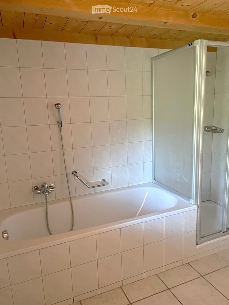 Bathroom with a bathtub, handheld shower, glass shower enclosure, and a handrail for accessibility.