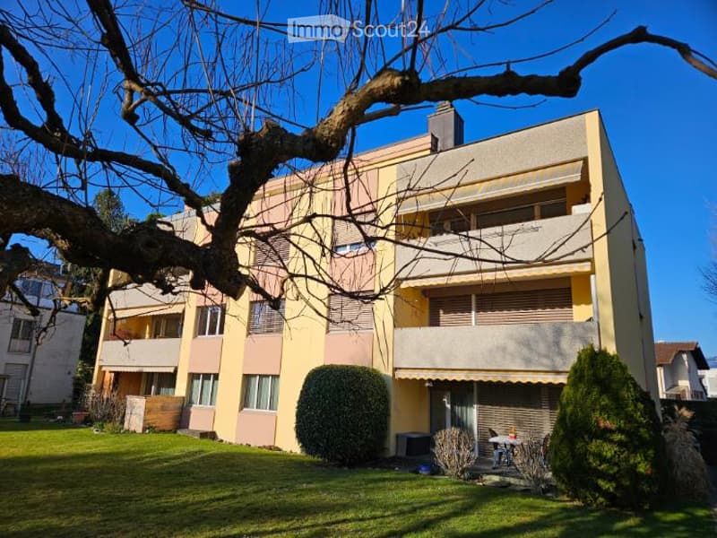 3 story apartment building, yellow and pink exterior, balconies, green lawn, shrubs, tree
