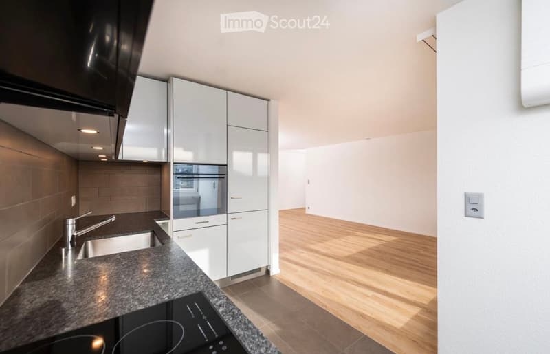 Modern kitchen with white cabinets, granite countertop, stainless steel sink and faucet, built-in oven, and induction cooktop.