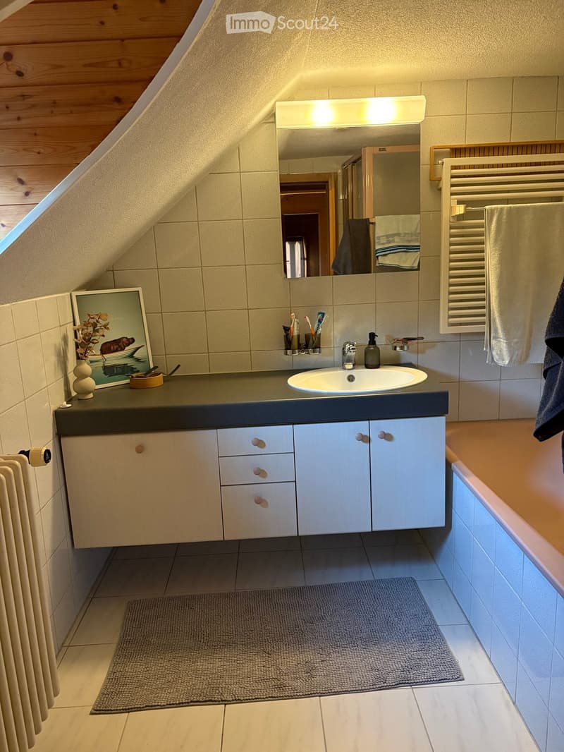 Modern bathroom with a sink, mirror, radiator, towel, picture frame, vase, toothbrush holder, and bathtub.